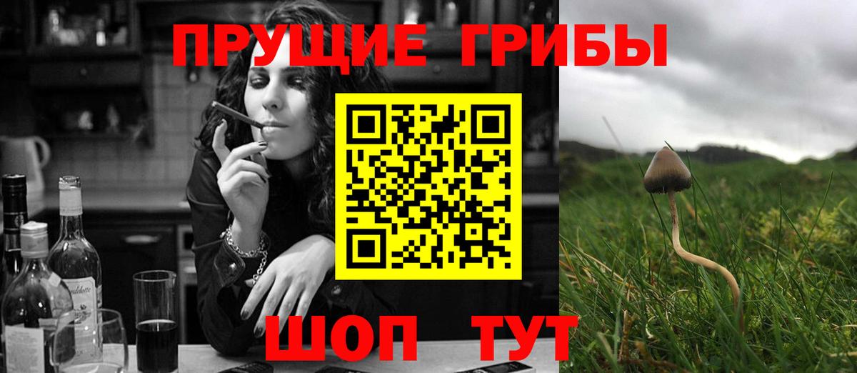 Галлюциногенные грибы Magic Shrooms Луховицы